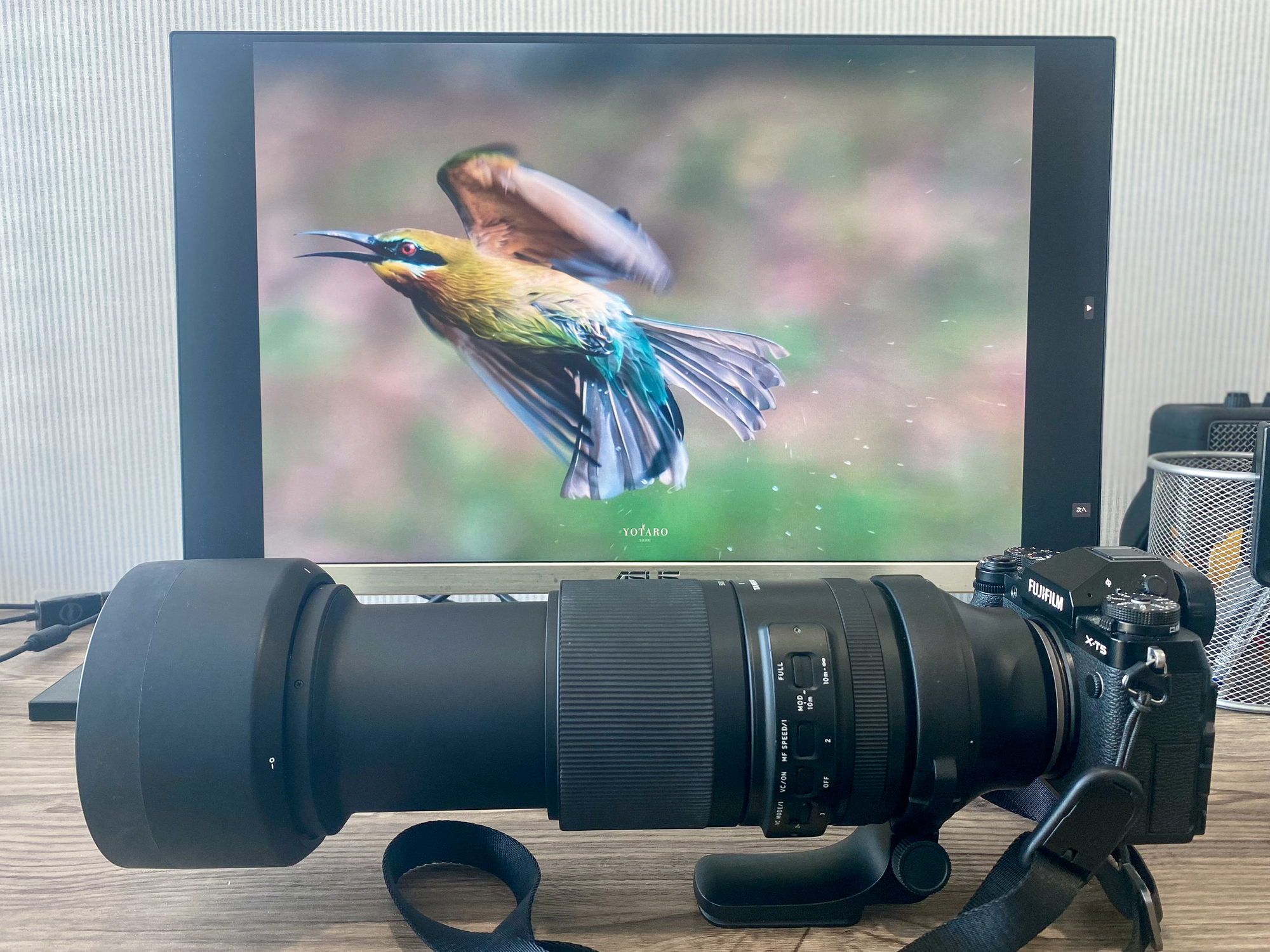 フジの野鳥撮影『超望遠ズームレンズ』 - MONOKIRI 35mm