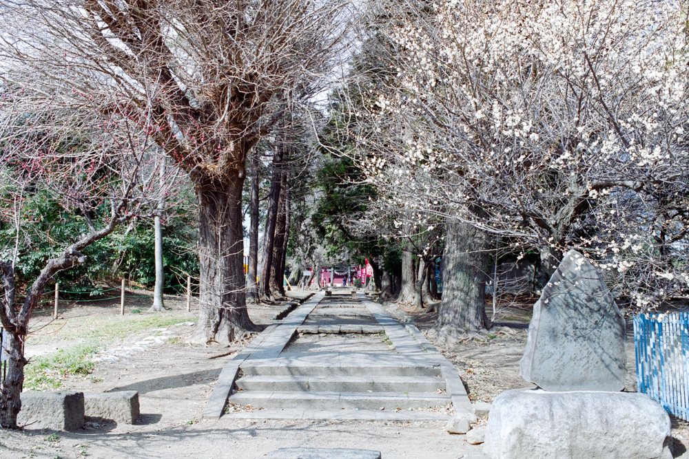 川越 with Nikon F & NIKKOR-O・C Auto 35mm F2 - アルファ・プラス