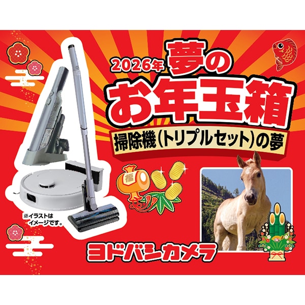 ヨドバシ2026福袋「掃除機トリプルセットの夢」が当たったので中身を