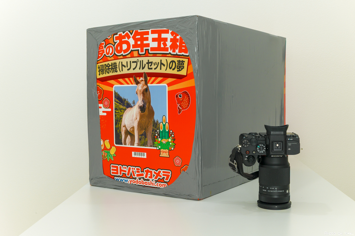 ヨドバシ2026福袋「掃除機トリプルセットの夢」が届いたので中身を開封