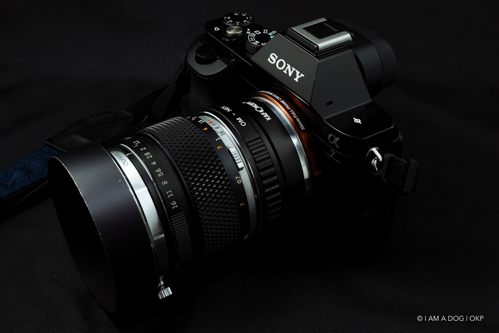 Eマウント用の純正撒き餌レンズSONY SEL50F18F / FE 50mm F1.8 を買っ