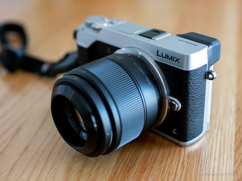 MFTの撒き餌レンズPanasonic LUMIX G 25mm F1.7 ASPH.はとても普通で