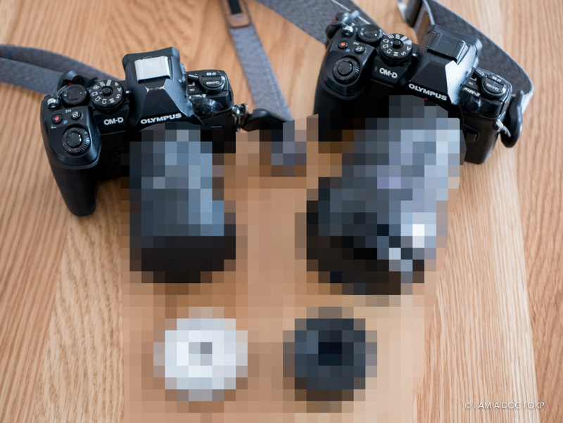 旅行中の予備レンズを軽量パンケーキレンズ2本で揃えてみた【標準