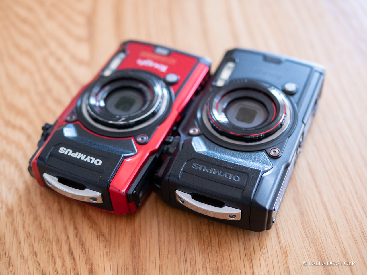 スマートフォンカメラが優秀な時代に敢えてオリンパスTough TG-6に