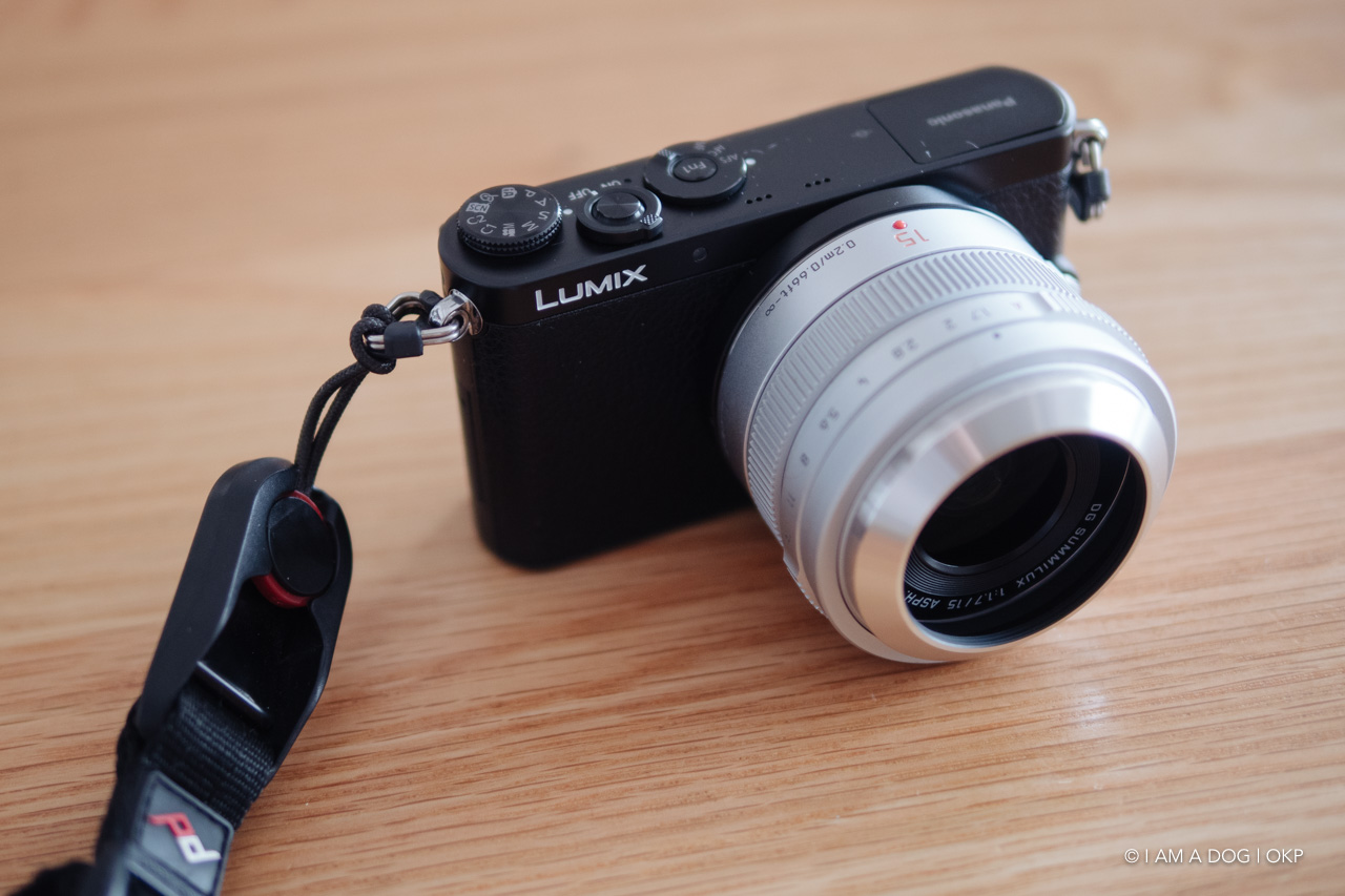 今更ながらLUMIX DMC-GM1を入手：マイクロフォーサーズのコンパクト性