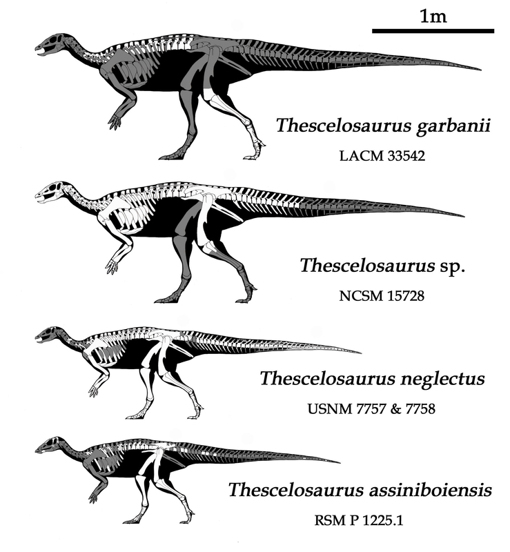テスケロサウルスの混沌 - GET AWAY TRIKE !