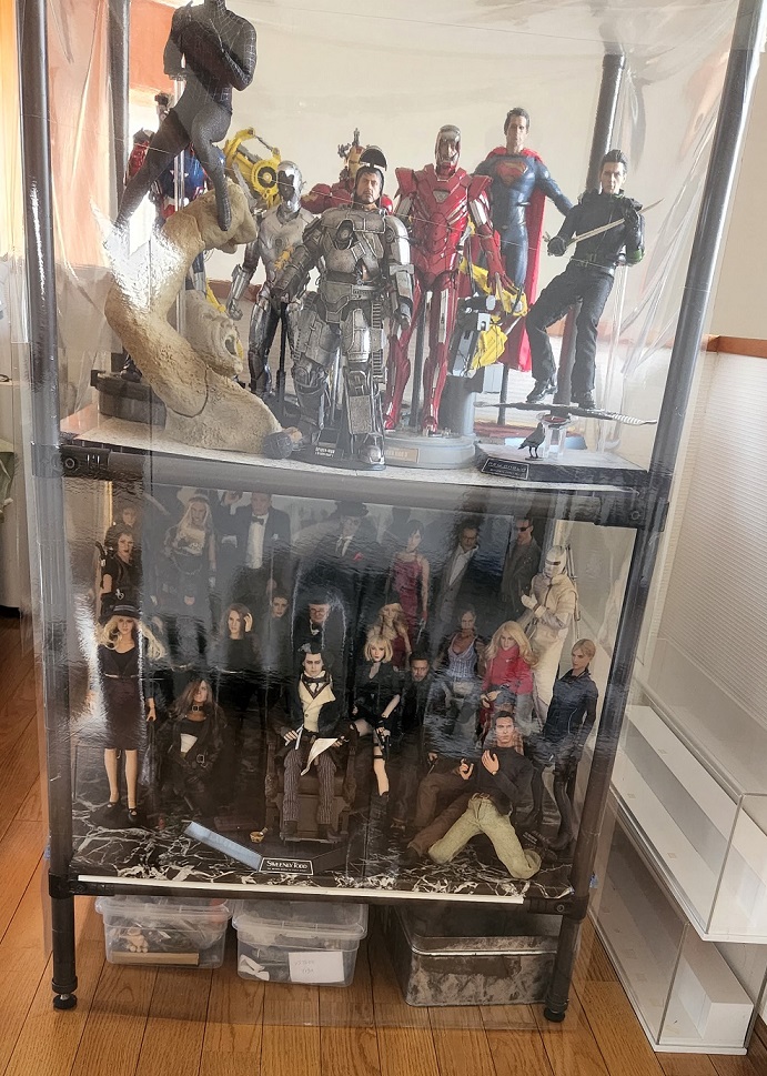 ホットトイズ他1/6サイズフィギュアコレクションラック - 私生活を