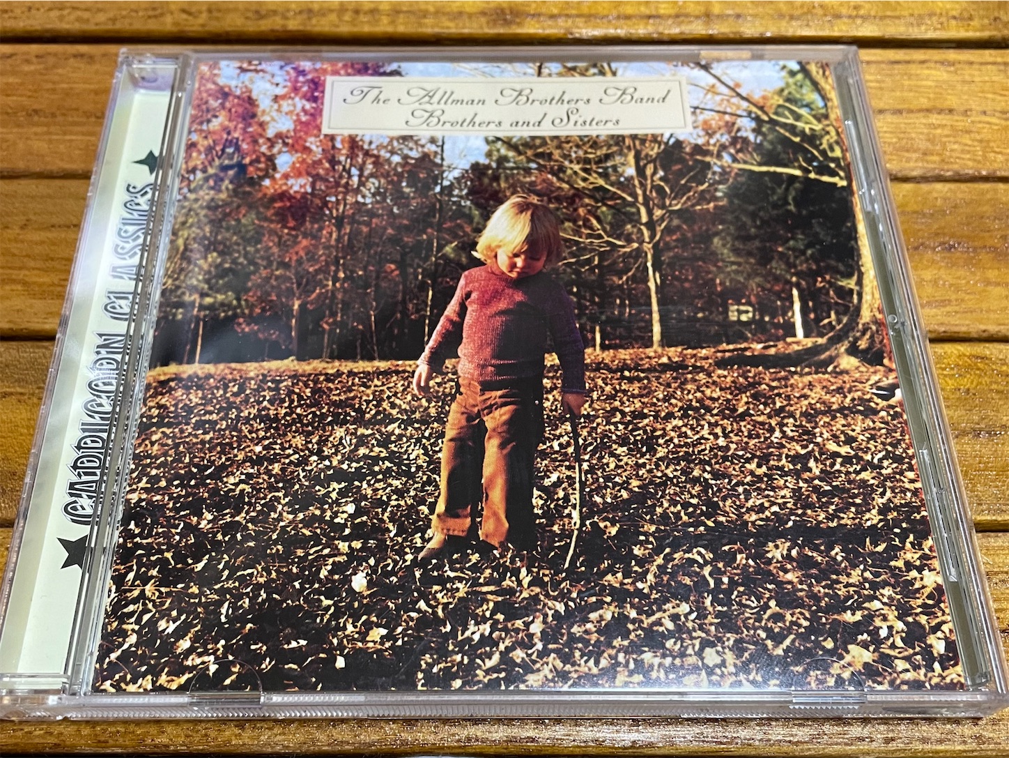 1973年『ブラザーズ&シスターズ』Brothers and Sisters / オールマン