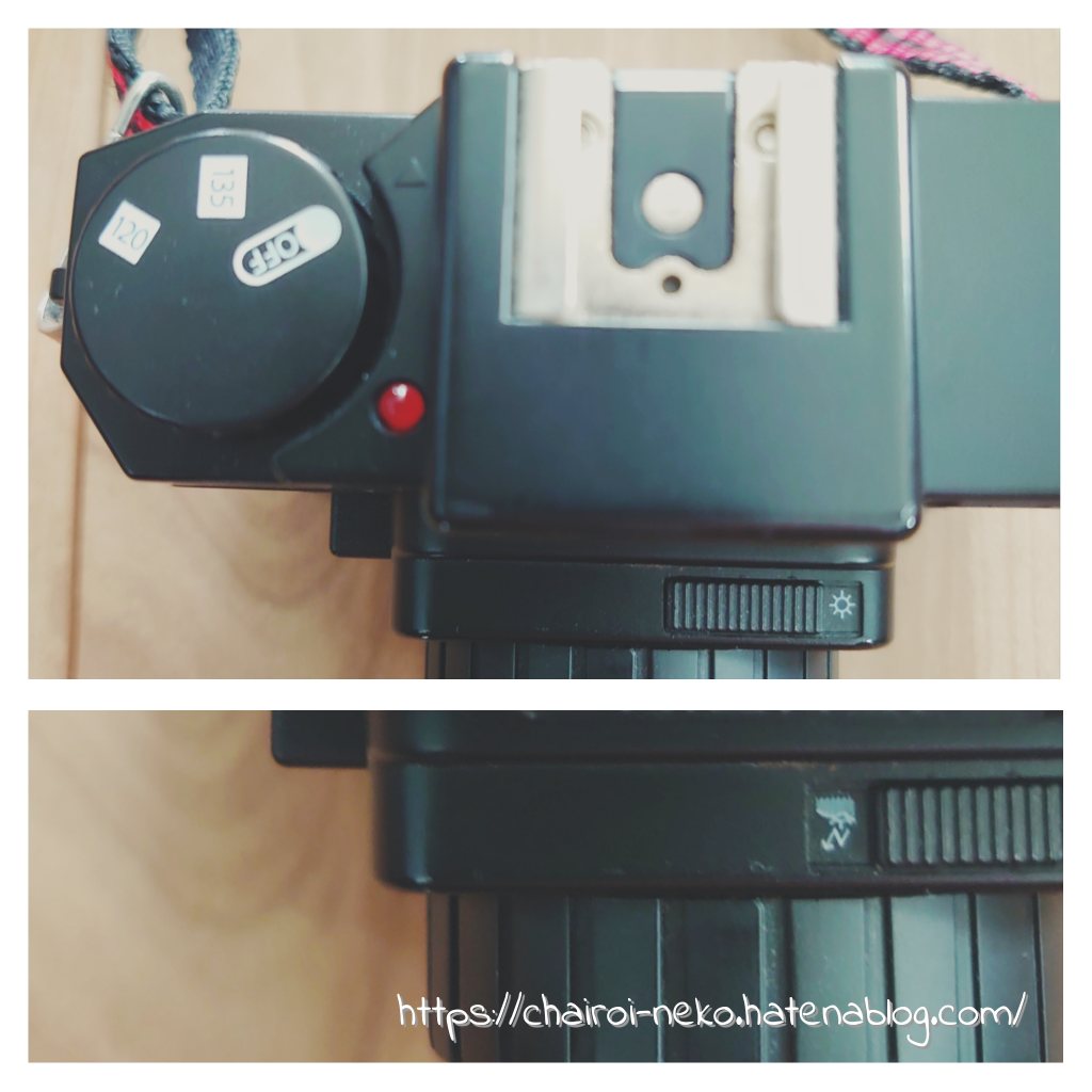 トイデジその6、HOLGA DIGITAL - 茶色い猫がみてる。