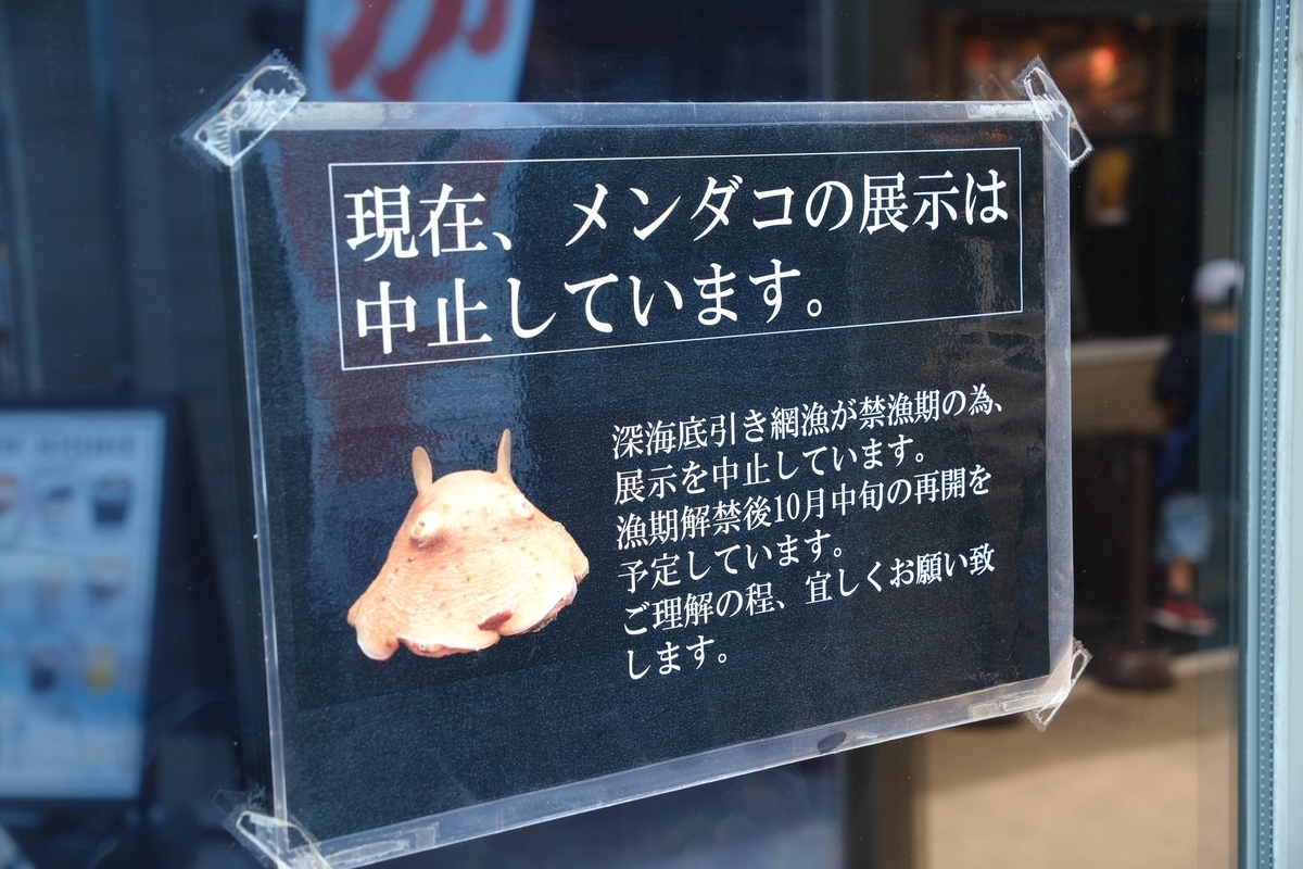 メンダコの人気に嫉妬 - A DAY IN THE LIFE