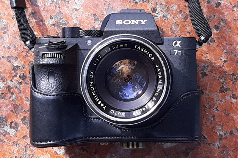 α7Ⅱ撮影行『ヤシノンとタクマー』 - フォト・ディレッタント