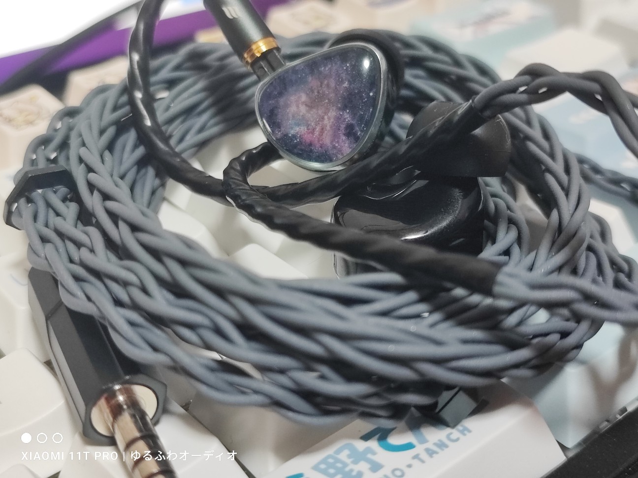 雑レビュー：179＄ 『 NICEHCK NX8 』 小宇宙が詰まったボーカル表現