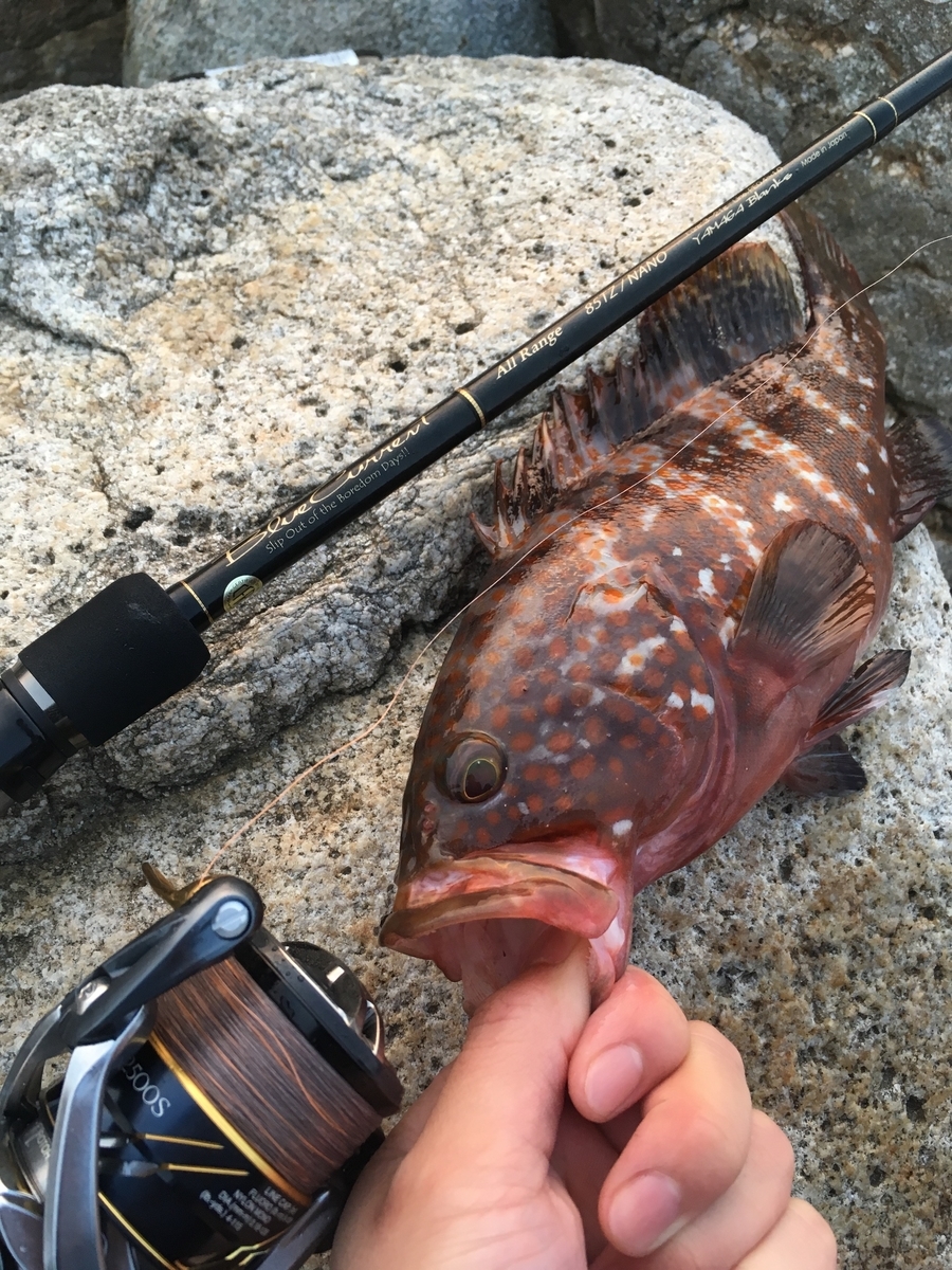 BlueCurrent 85 tz/nano All-Range のインプレ - ft ブログ