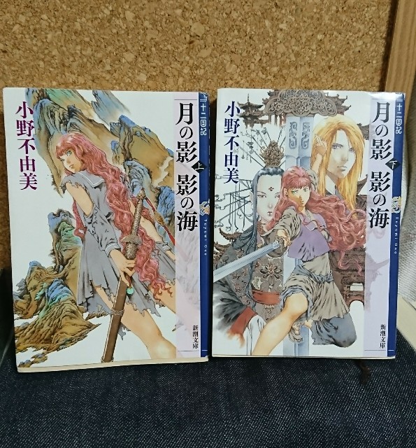 十二国記『月の影 影の海』の感想を好き勝手に語る【小野不由美】 - FG