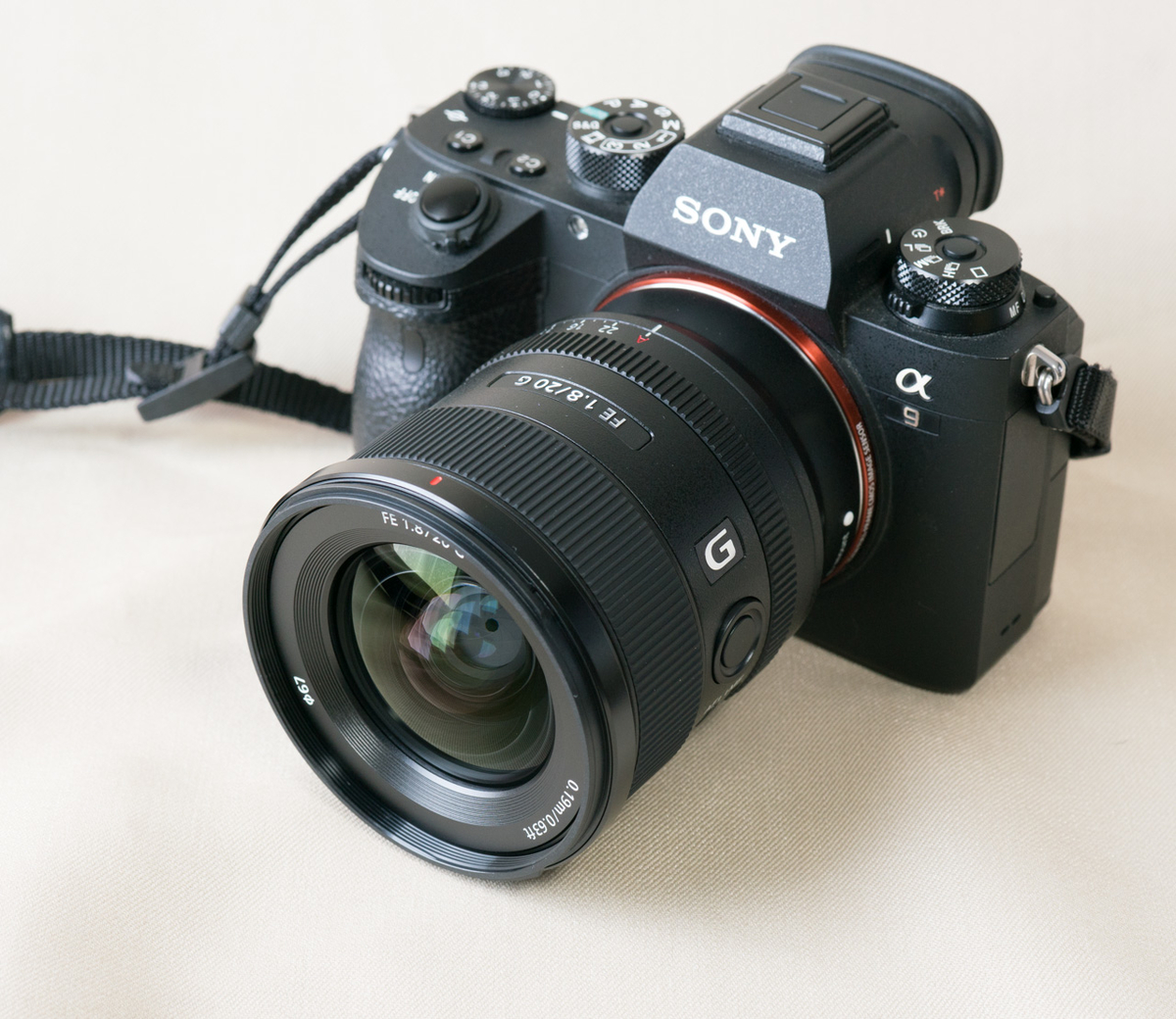 FE20mm F1.8G 作例 サンプル - fortia's レビュー