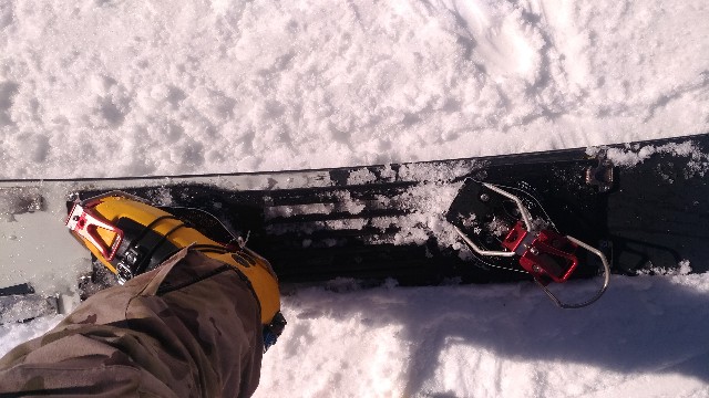 21/22 ALC RC15プレート - アルペンスノーボード試乗日記