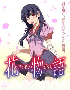 アニメ『花物語』一挙放映ネタバレ編6 - 人生は野菜スープ～usamimi