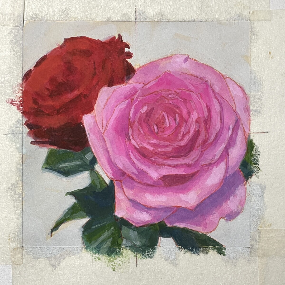 ガッシュで描く 一日一絵 『薔薇の花』ホルベイン不透明水彩 17日目