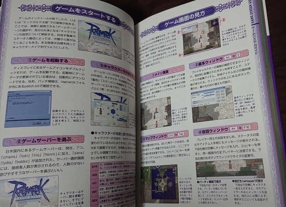 ネットゲームの攻略本は買うべきではない理由。それでも買うなら