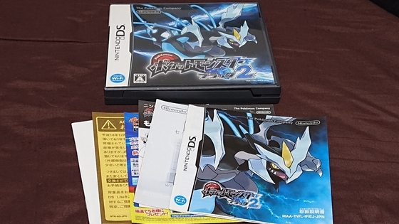 DSのポケモン作品の箱と説明書を買って完品にしたお話 - くむの