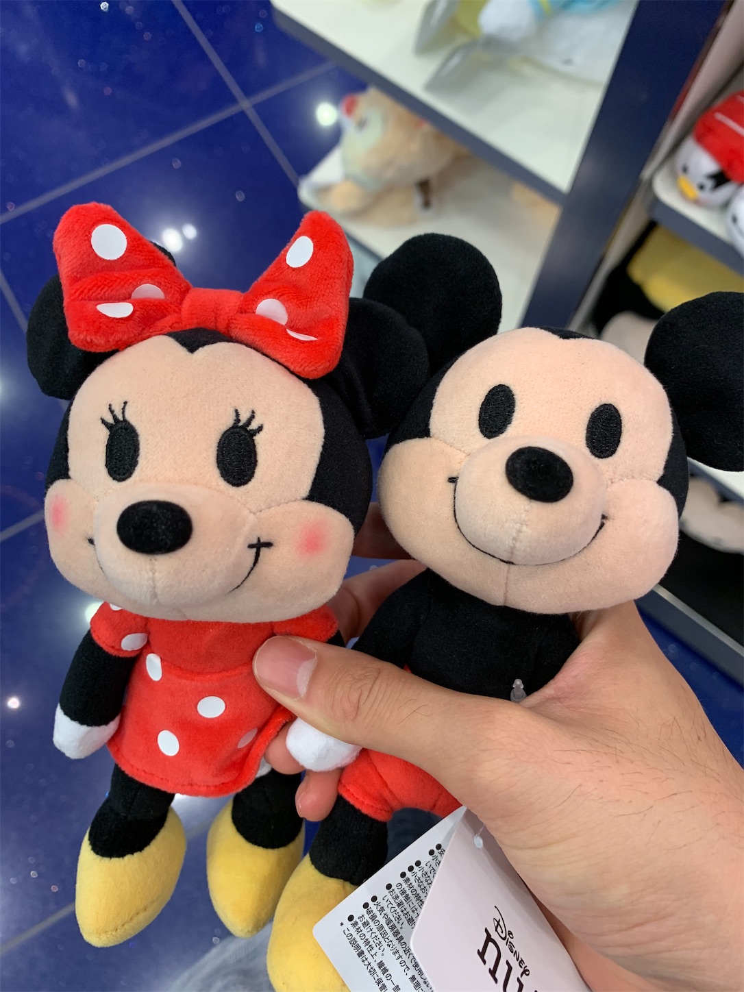 ぬいもーずは、ぬいぐるみ界のファッションモデルなんだって。 - 好き