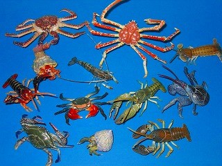 原色甲殻類エビ・カニ図鑑Ⅰ - Ordinary Days