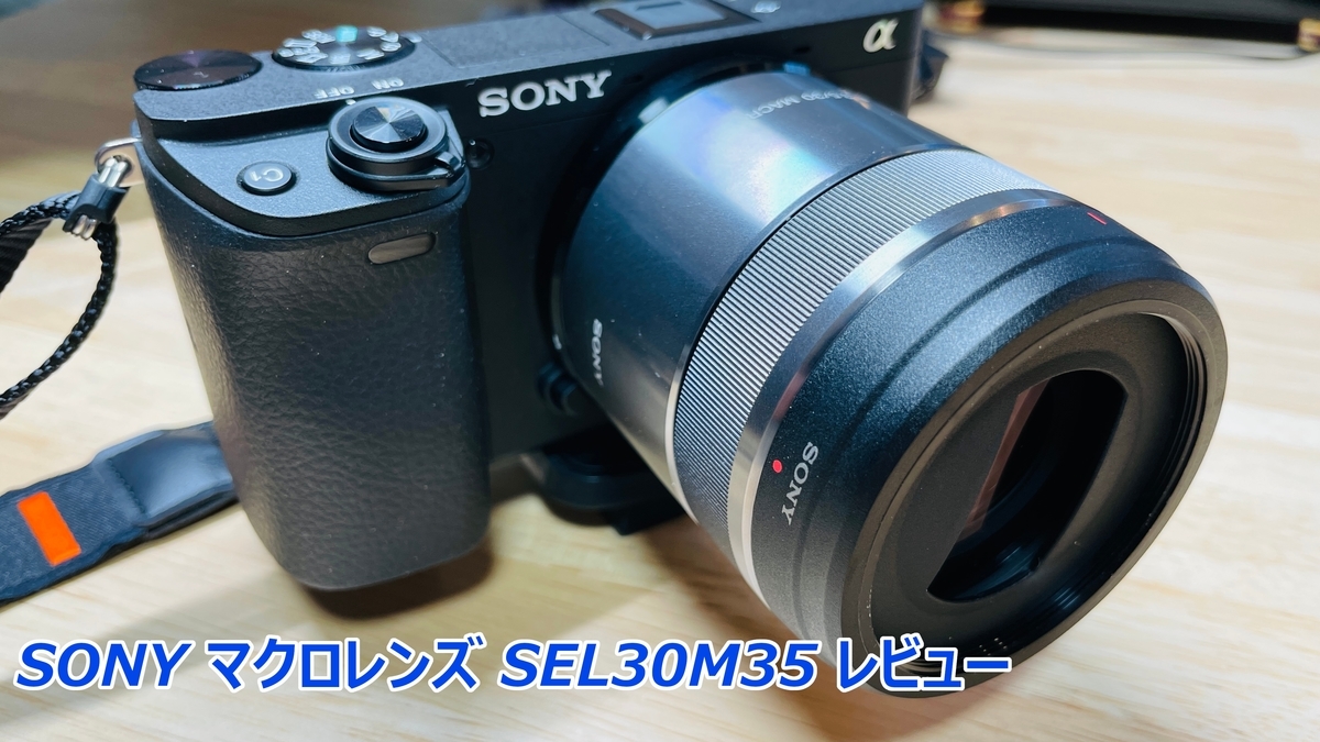 SONY SEL30M35 レビュー】物撮りにはコレ！マクロレンズで接写の世界を