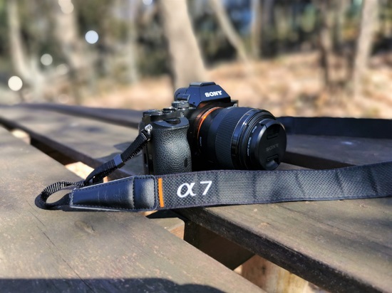 レビュー》おすすめのミラーレスカメラ『SONY α7初代、NEX-6中古