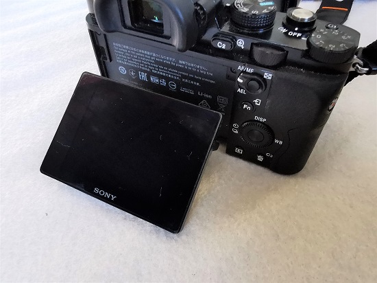 SONY α7Ⅱ対α7初代 中古』比較レビュー～おすすめです～自然撮影を