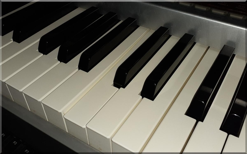 PX-200のハンマーキャップを交換してみる。