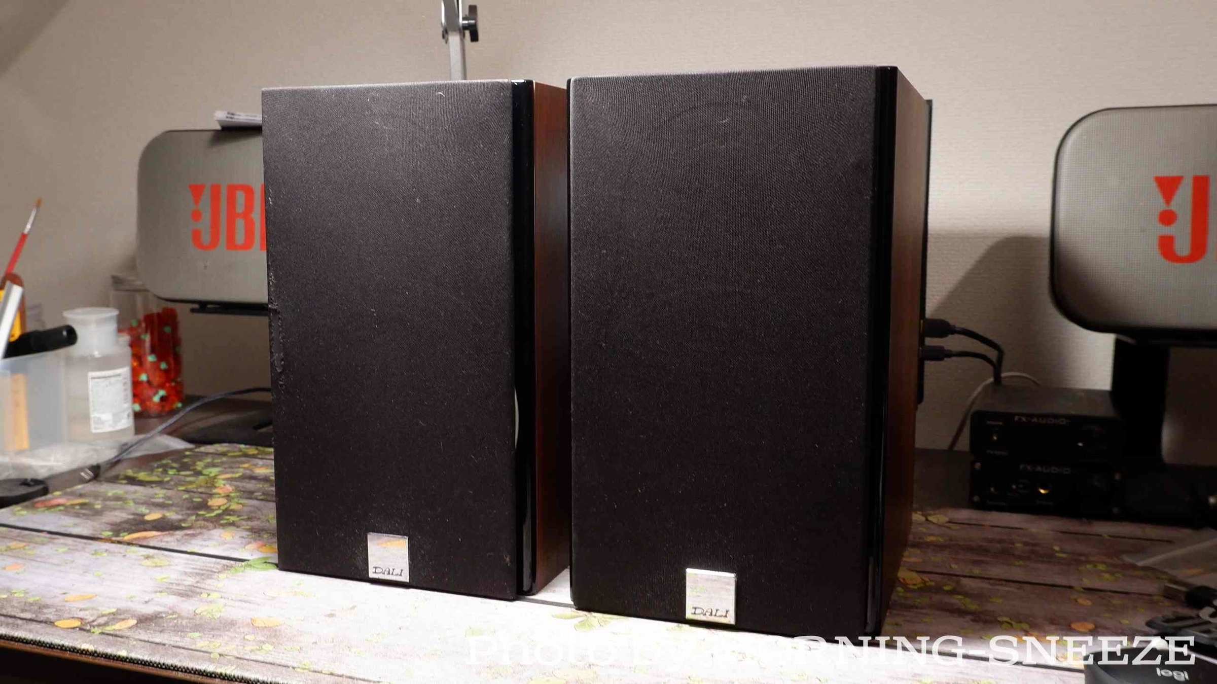 DALI ZENSOR 1 をメンテナンスする - いつか消える文章