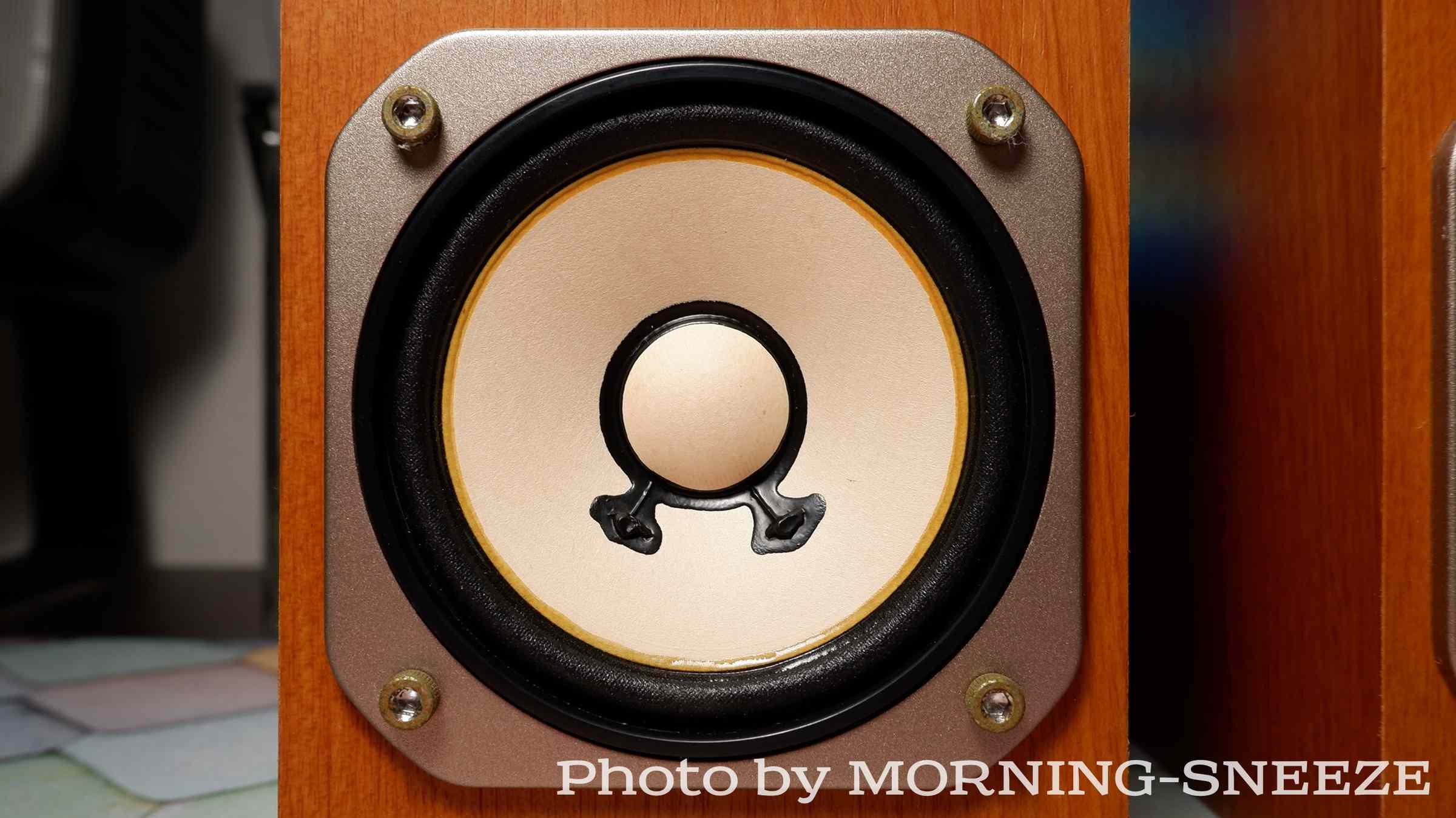 YAMAHA NS-10MM をメンテナンスする - いつか消える文章