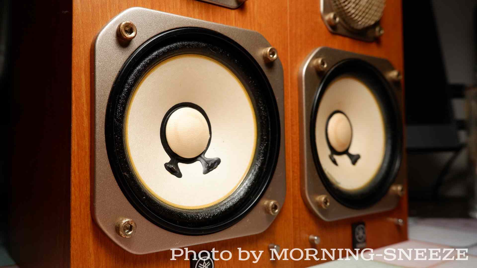 YAMAHA NS-10MMT をメンテナンスする - いつか消える文章