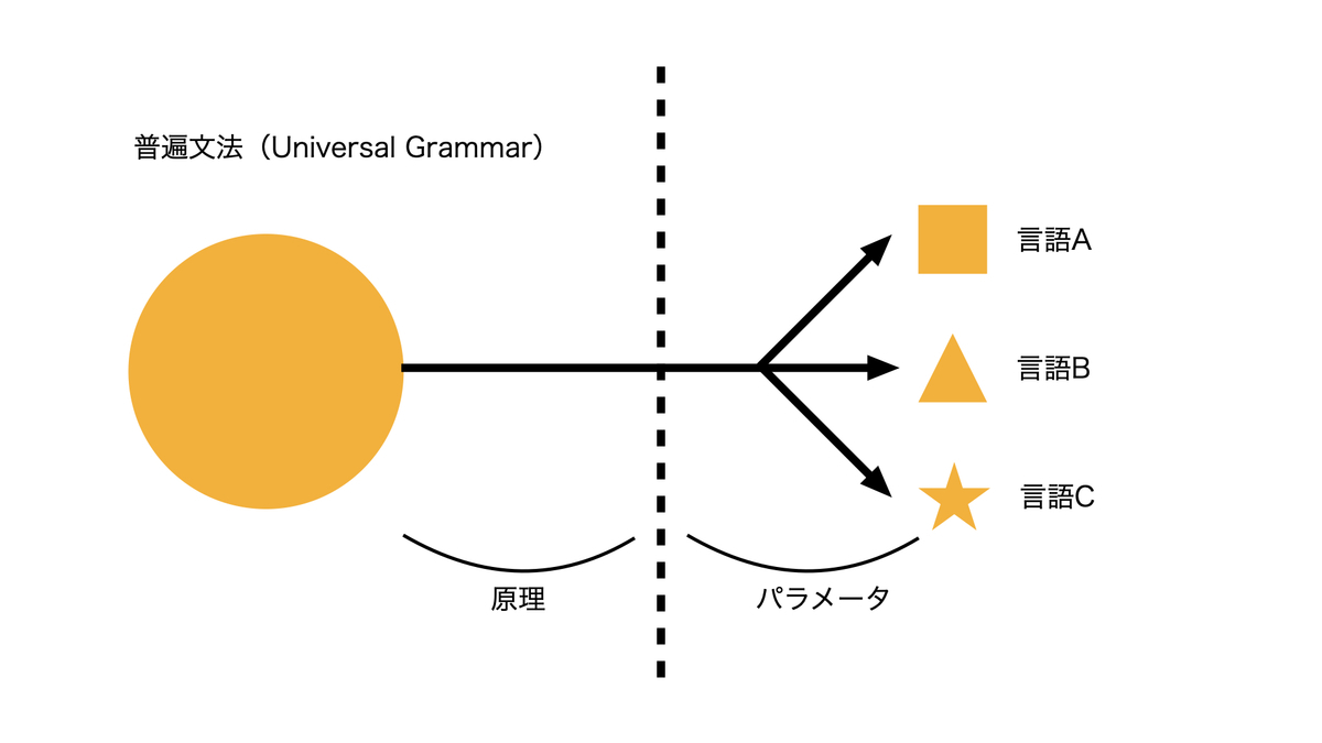 言語獲得のプロセスとは？ 言語獲得装置や臨界期もわかりやすく解説