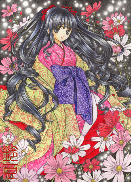 秋桜の姫」色鉛筆＆鉛筆オリジナルイラスト：継続日数200超えてました