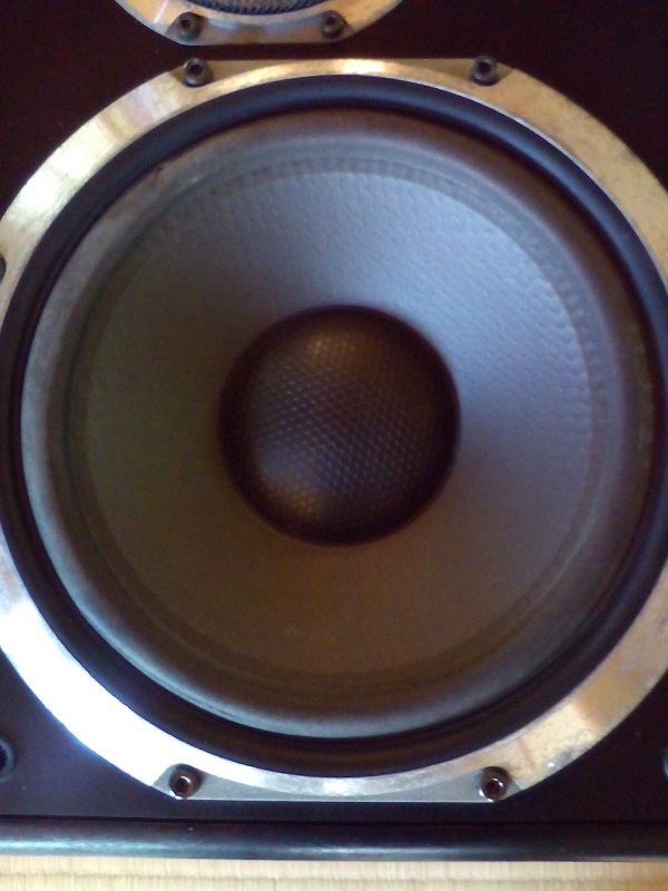 スピーカー DIATONE DS-66EX - 蓼科高原日記