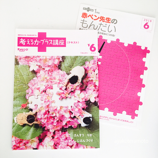 考える力・プラス講座(チャレンジ一年生)」をやってみた感想！実験し