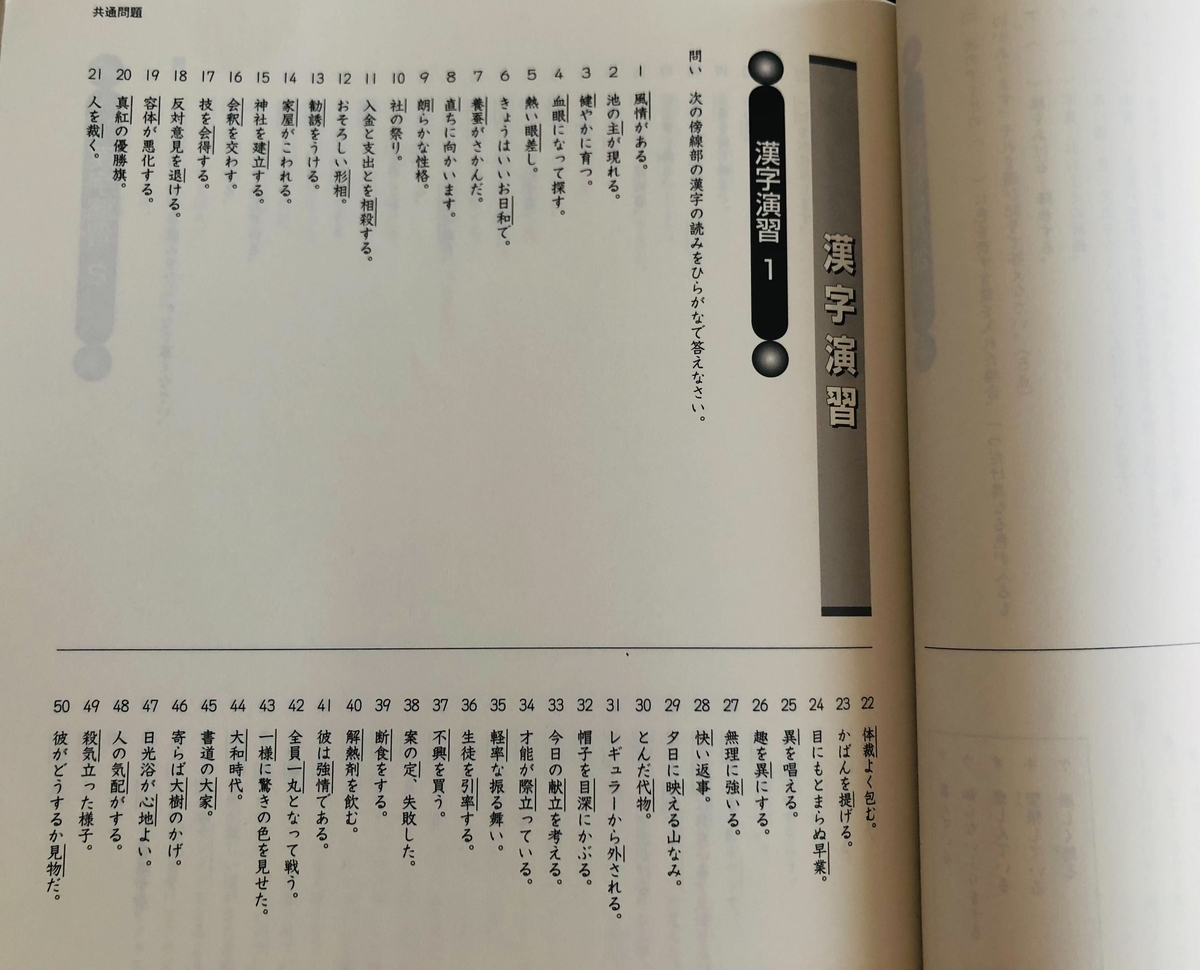 日能研】夏期講習（6年生・応用）の内容 - ちゅりぷ子のもしかして中高