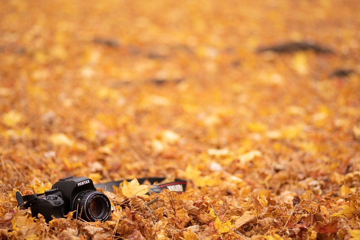 PENTAX K-S2 - 青藍寫眞館