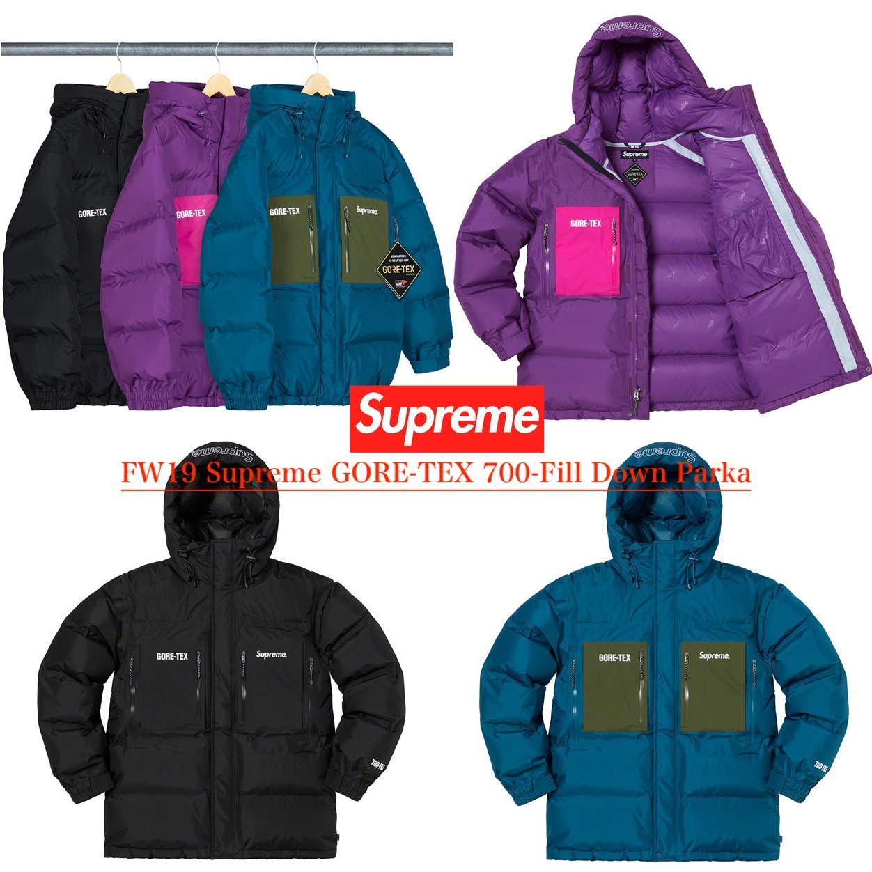 FW19 Supreme GORE-TEX 700-Fill Down Parka - ゴアテックス (Supreme