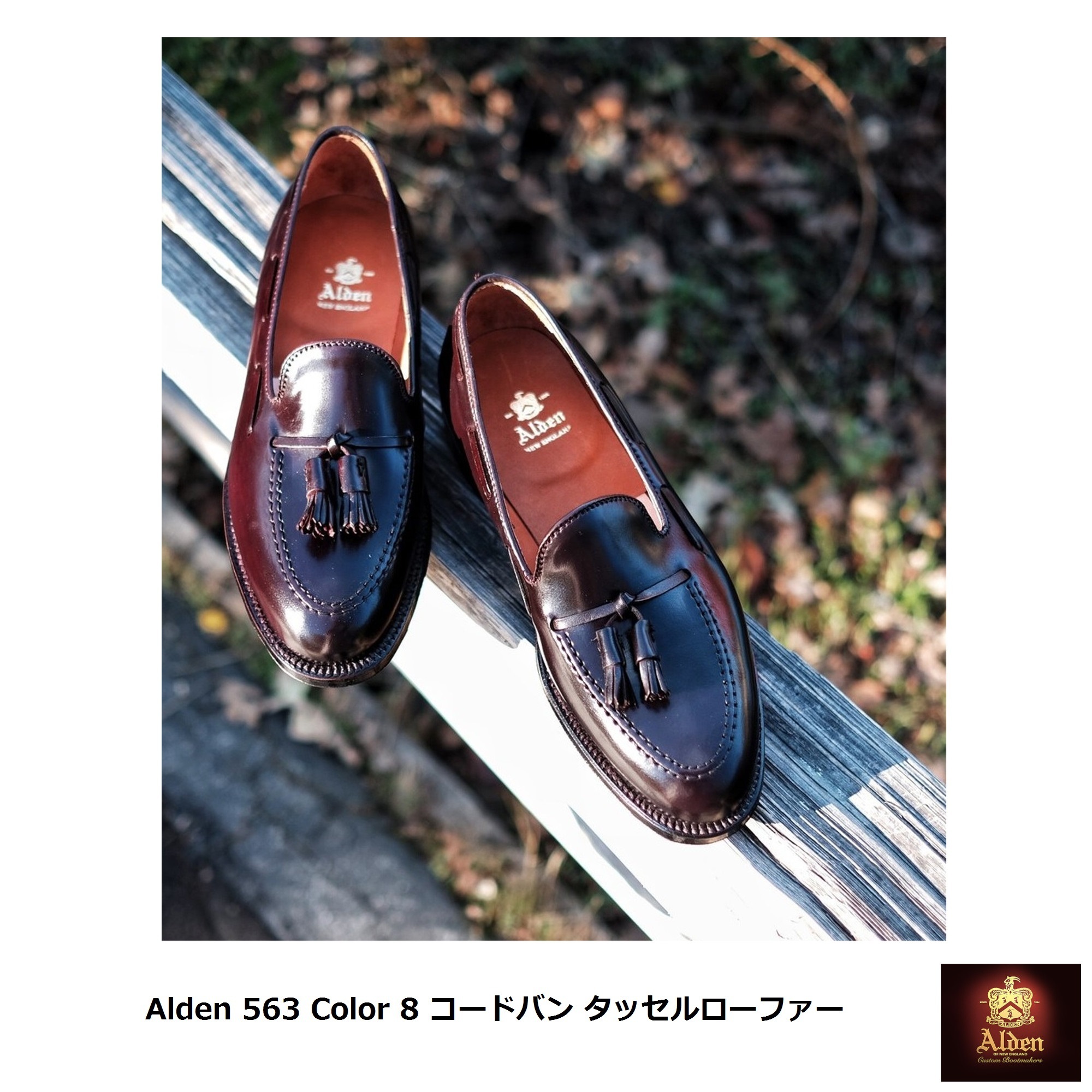 Alden] 563 Color 8 コードバン タッセルローファー (ALDEN/ドレス