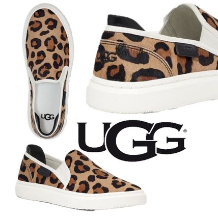レオパード（ヒョウ柄） UGG(アグ) 靴・シューズ(レディース