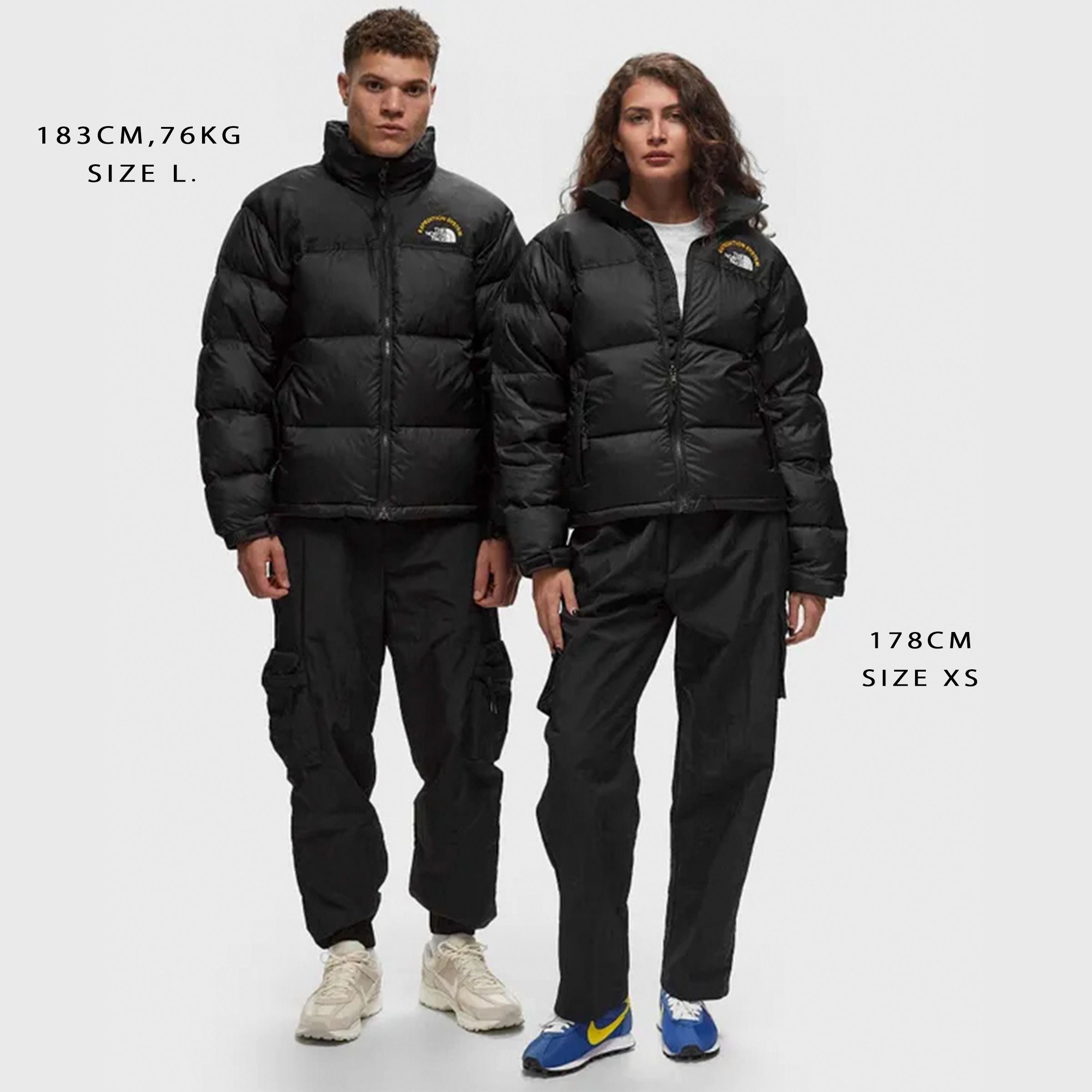 激レア 24新作☆TNF☆EXPEDITION SYSTEM☆ヌプシダウン☆700fill (THE