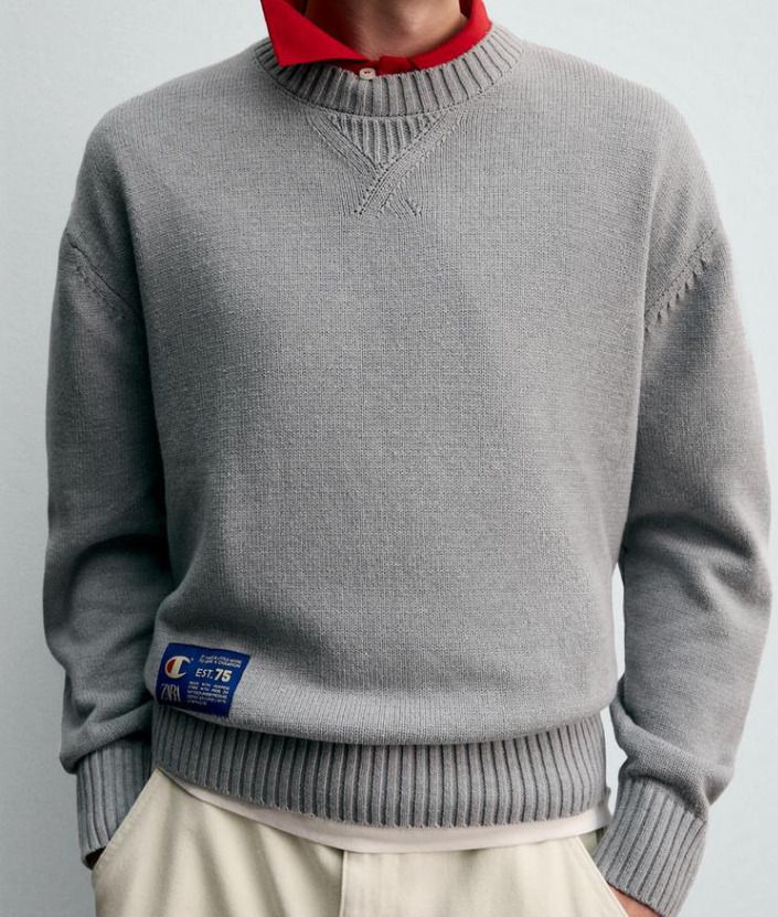 ZARA チャンピオン ストライプ パッチ ジャージー セーター 限定 (ZARA