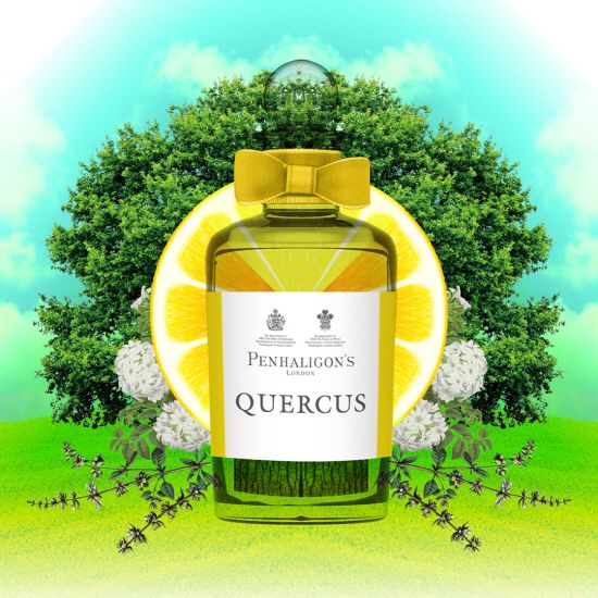ペンハリガン クァーカス PENHALIGON'S QUERCUS EDC 100ml