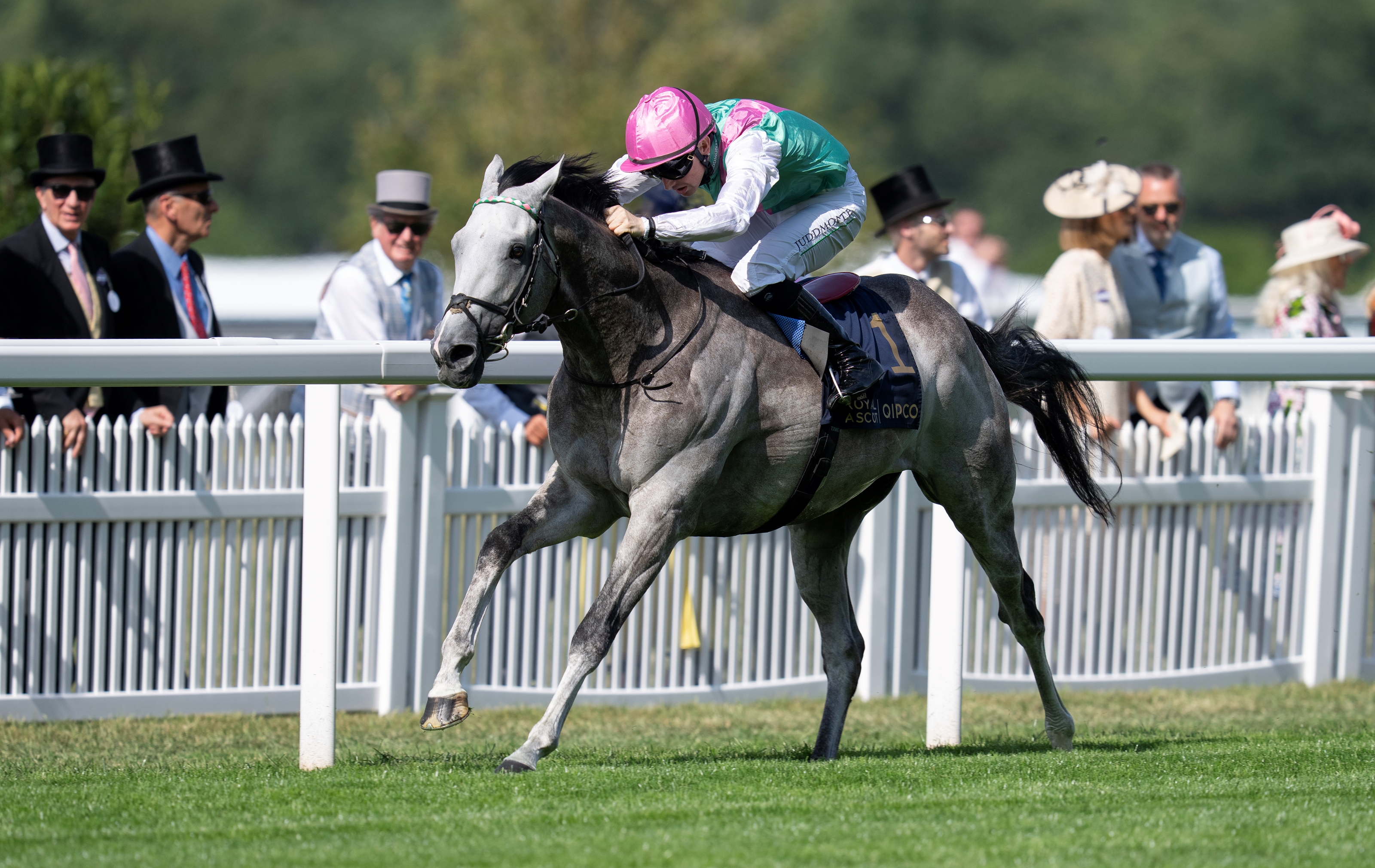 f7bda2cf5b784a338c044554cc9af8