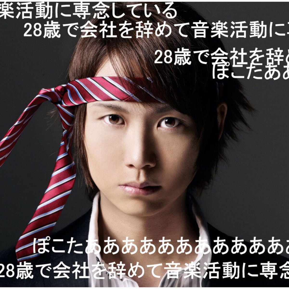 ぽこた: albums, songs, concerts | Deezer