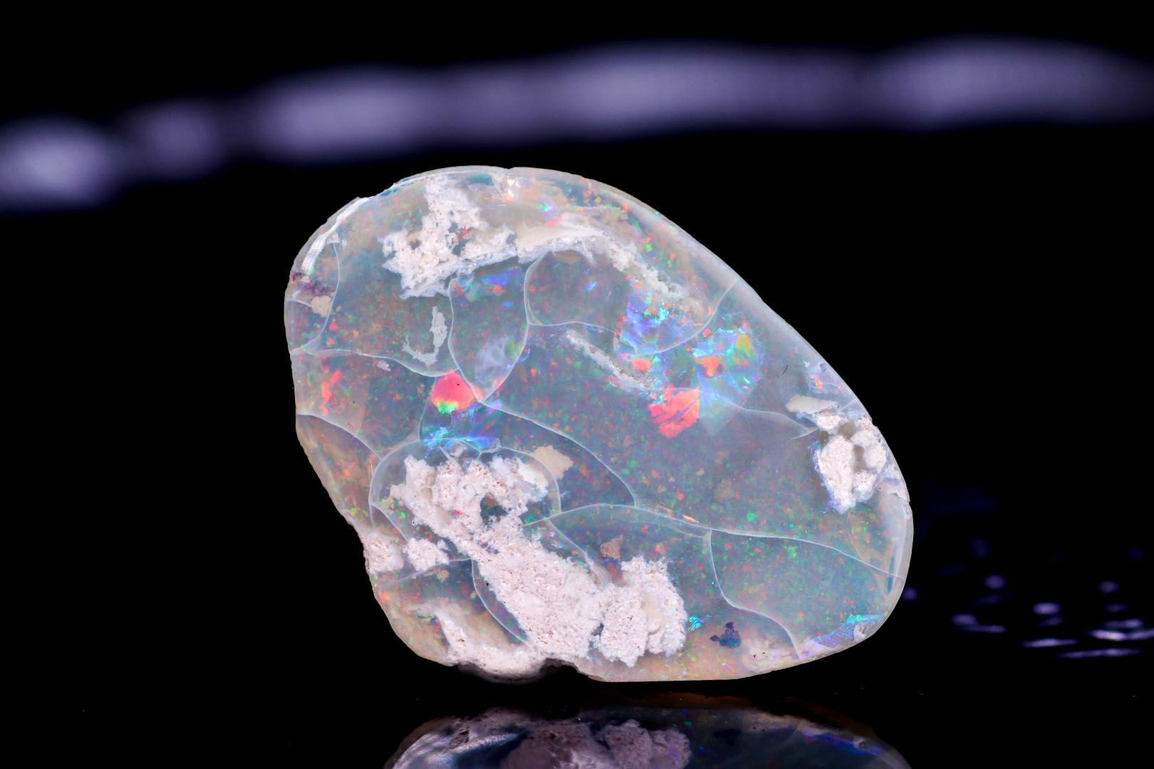 シェルオパール 貝オパール オパール化貝化石 オパライズドシェル