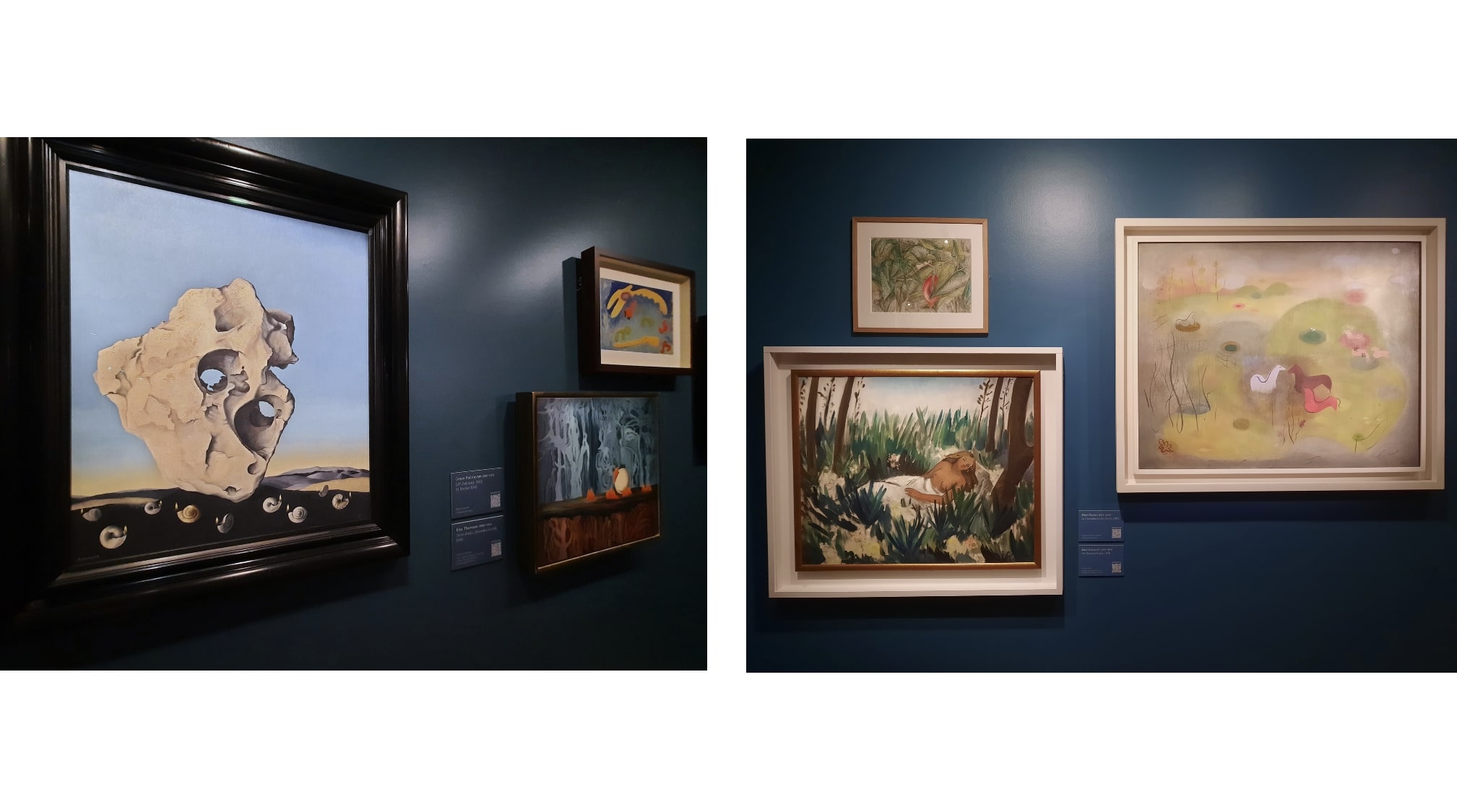 珍しい「シュルレアリスムの女性作家展」に引き込まれる - NewSphere