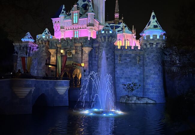 FRASERDESING 眠れる森の美女 ディズニー レトロ シンデレラ城モデル